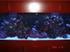 DSC05589.jpg