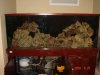 DSC04875.jpg