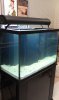 Before tank shot.jpg Before tank shot.jpg