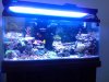 aquascape 1.jpg