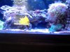aquascape 2.jpg