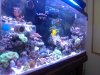 aquascape 4.jpg