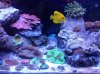aquascape 6.jpg