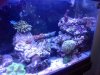 aquascape 8.jpg
