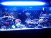 20120603_183701.jpg