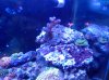 20120603_183654.jpg