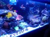 20120603_183619.jpg