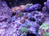 20120603_183648.jpg
