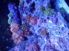 20120607_151910.jpg