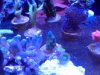 20120714_120850.jpg