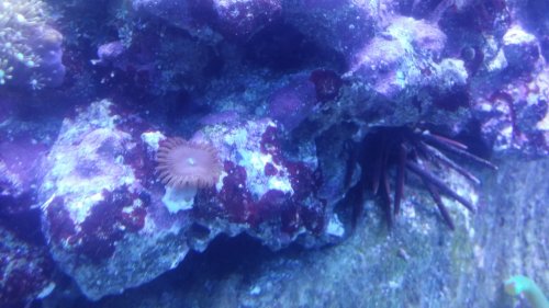 20160304_142020.jpg