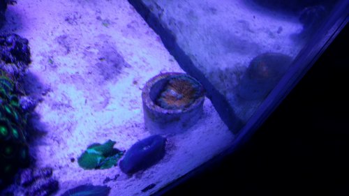 20160409_145857.jpg