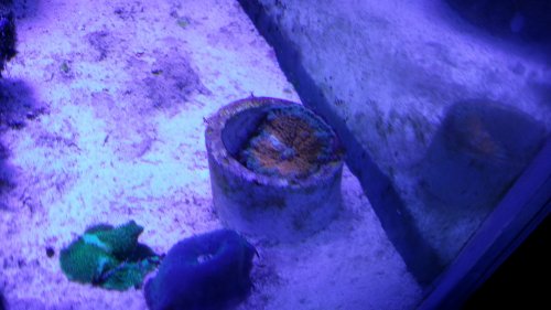 20160409_145831.jpg