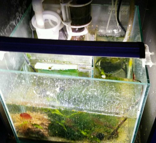 sump.jpg