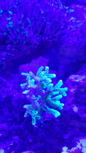20160510_073932.jpg