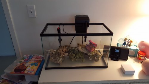 20160717_123333.jpg