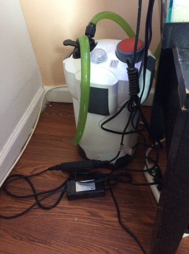 image.jpeg