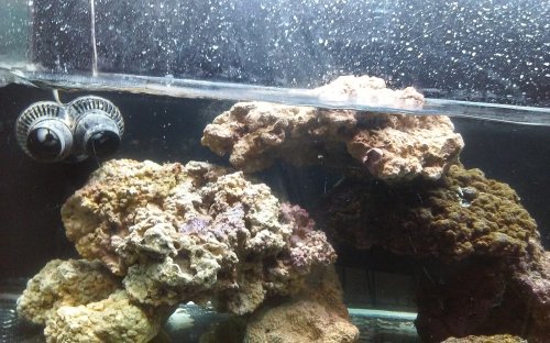 20160812_200841.jpg