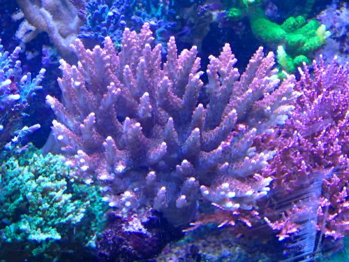 P1010217.JPG