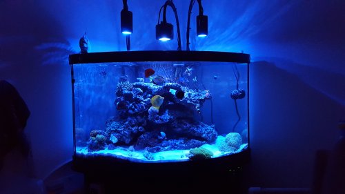 20160902_173750.jpg