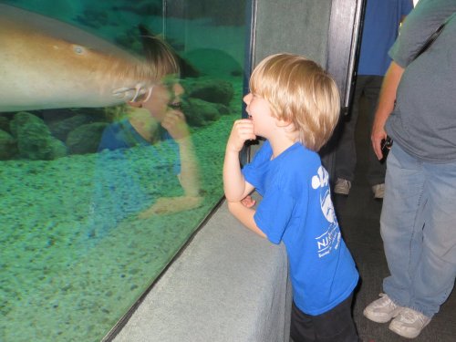 IMG_4713.JPG IMG_4713.JPG