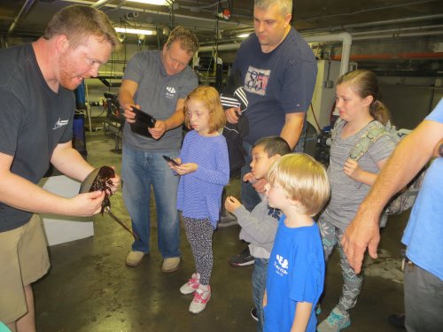 IMG_4739.JPG IMG_4739.JPG