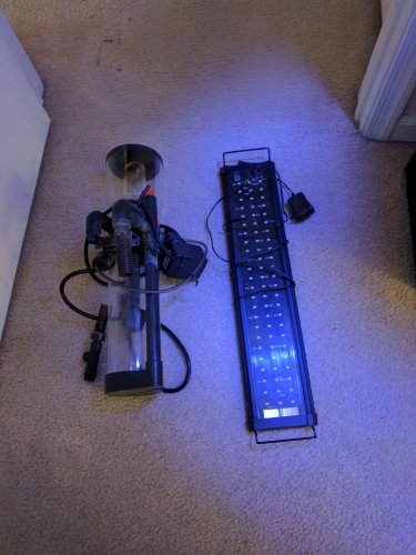 IMG_20170102_123100.jpg IMG_20170102_123100.jpg