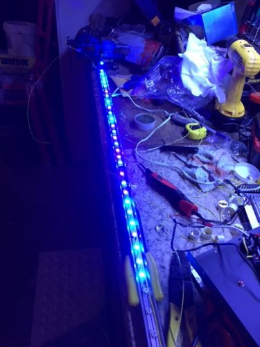 led31.JPG