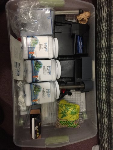 IMG_0266.jpeg