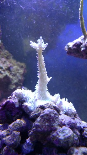 IMG_20170423_145036013.jpg