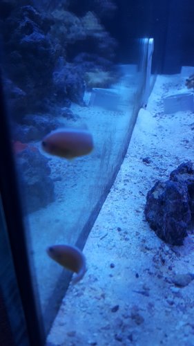 20170403_204018.jpg