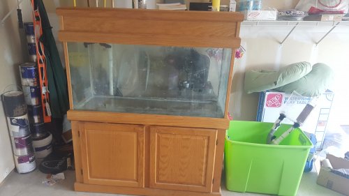 20170612_133041.jpg