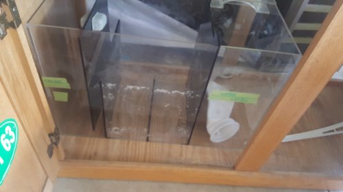 20170612_133116.jpg
