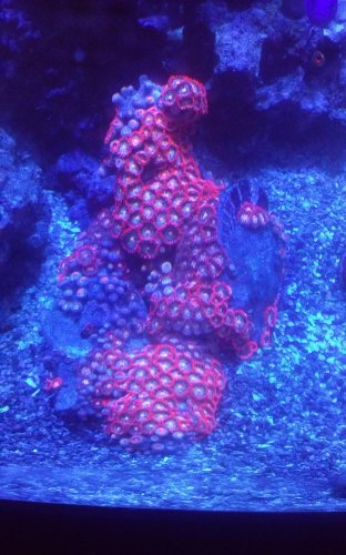 20170625_204653.jpg