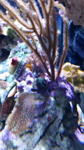 20170626_193142.jpg