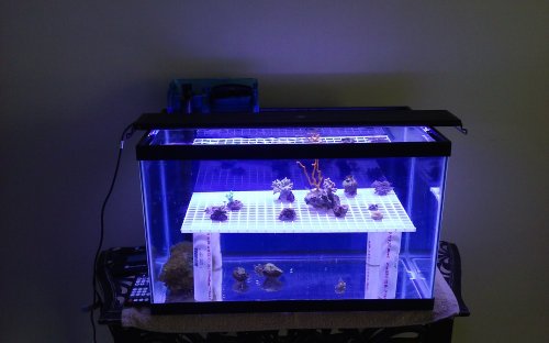 20170701_112726.jpg