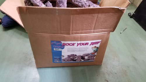 20170704_102839.jpg