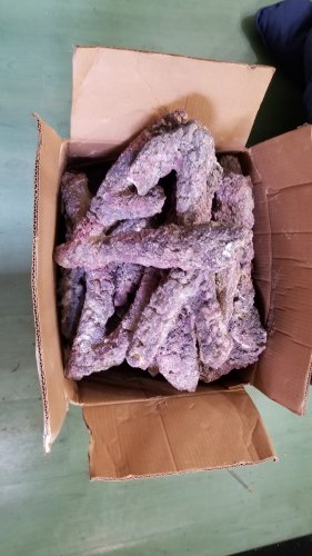 20170704_102834.jpg