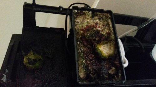20170716_124207.jpg