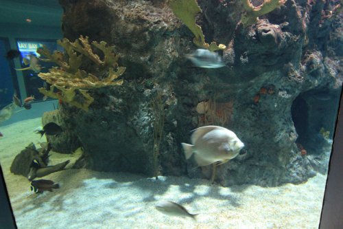IMG_5267.JPG IMG_5267.JPG