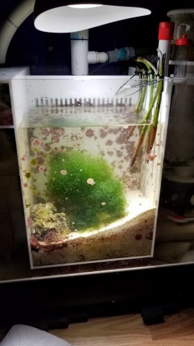 20170724_180303.jpg