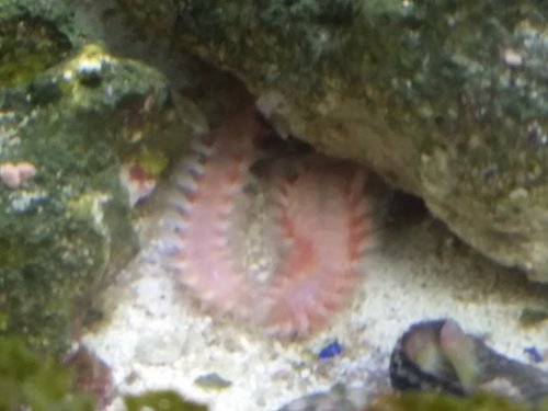 20170823_221419.jpg