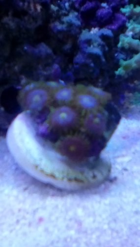 IMG_20171023_153045.jpg