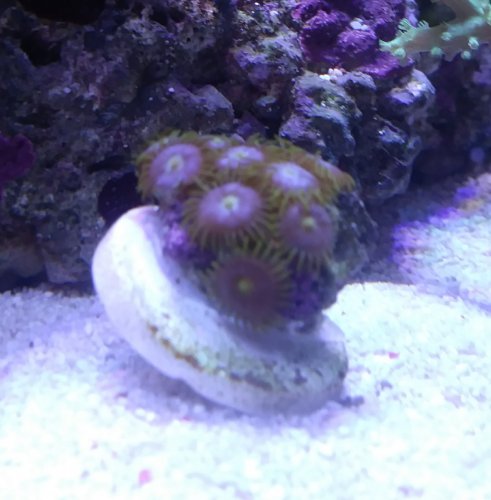 20171023_170117-1.jpg