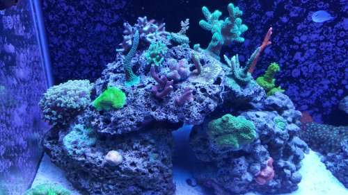 20171112_140049.jpg