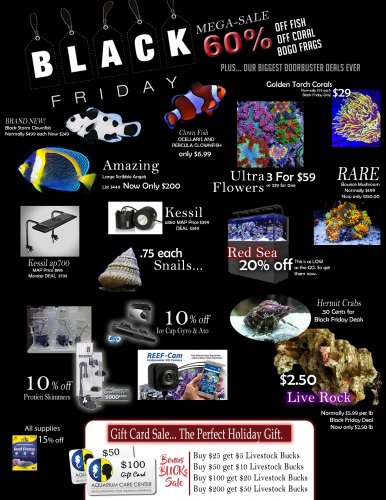 black friday flyer.jpg black friday flyer.jpg