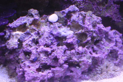 IMG_7327.JPG IMG_7327.JPG