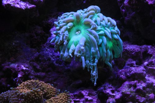 IMG_6656.JPG IMG_6656.JPG