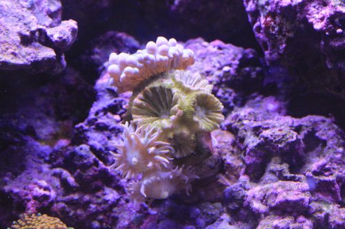 IMG_7329.JPG IMG_7329.JPG