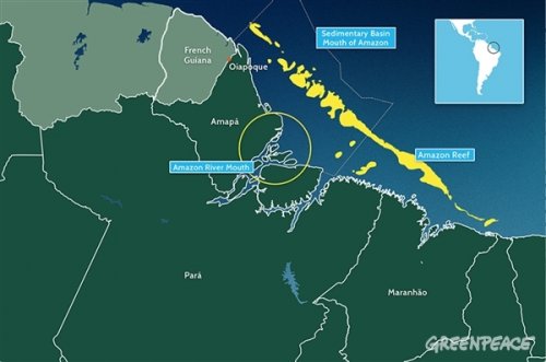 brazil reef 2.jpg